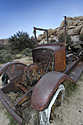 Joshua Tree