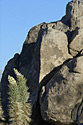 Joshua Tree Photos
