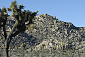 Joshua Tree Photos