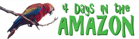 4 Days in the Amazon