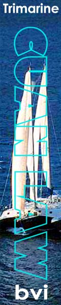 scuba poll copyright violations
