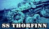 thorfinn copyright violations
