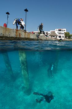 digital underwater photography from cozumel