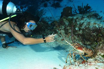 digital underwater photography from cozumel