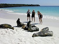 California Sea Lion