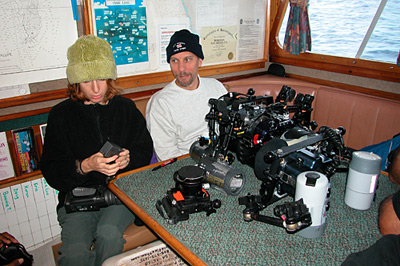 digital underwater photography from guadalupe island