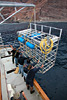 digital underwater photography from guadalupe island