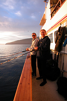 digital underwater photography from guadalupe island