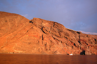 digital underwater photography from guadalupe island