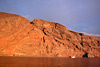 digital underwater photography from guadalupe island