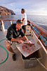 digital underwater photography from guadalupe island