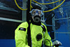 digital underwater photography from guadalupe island