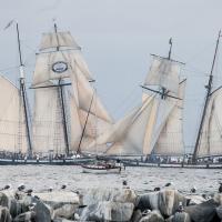 Tall Ships in Dana Point