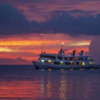 Truk Odyssey, Chuuk