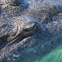 Cuba_Diving_2016_047