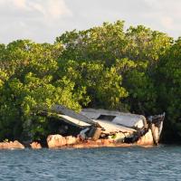 Cuba_Diving_2016_049