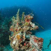 Cuba_Diving_2016_069