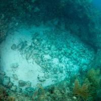 Cuba_Diving_2016_081