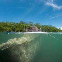 Cuba_Diving_2016_086