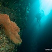 Palau_2014_010