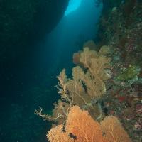 Palau_2014_011