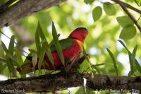 Solomon_Islands_Topside_013