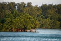 Solomon_Islands_Topside_028