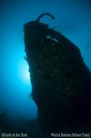 Solomons_2016_Wreck-of-the-Ann_054