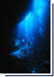 Blue Holes in Palau